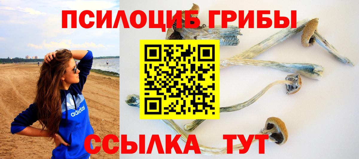 Кирово-Чепецк  Галлюциногенные грибы прущие грибы  Вход с VPN 